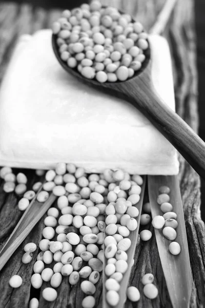 Soybeans and tofu — Stock Photo, Image