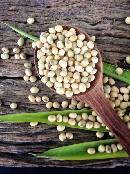 Soy beans — Stock Photo, Image