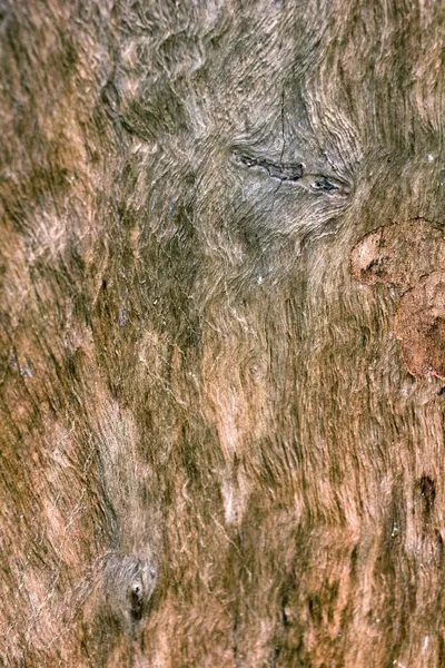 Old wood background — Stock Photo, Image