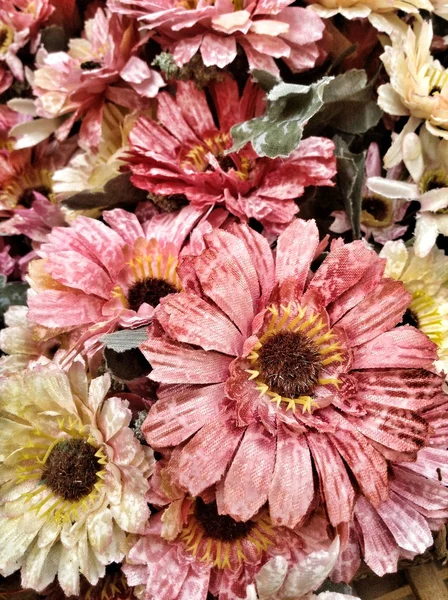 Хризантема штучних квітів — стокове фото