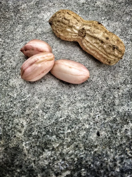 Peanut — Stock Photo, Image