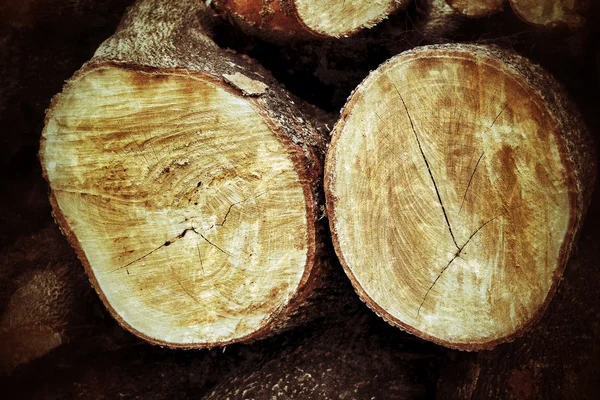 Pile di legno di pino — Foto Stock