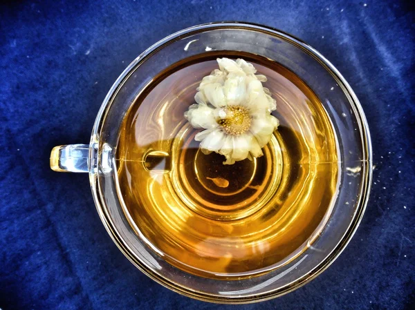 Chamomile tea — Stock Photo, Image