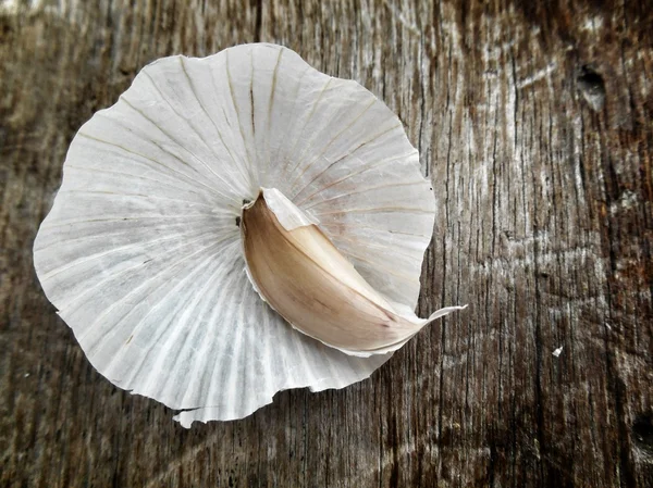 Garlic — Stock Photo, Image