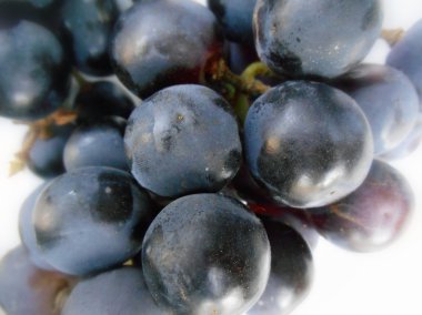 taze üzüm