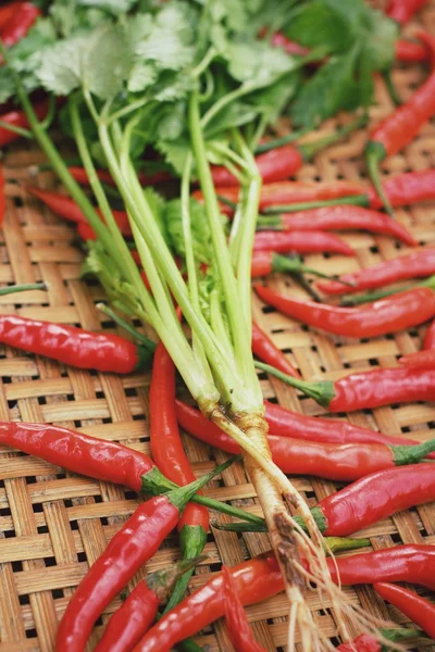 Červené chilli a koriandrem — Stock fotografie