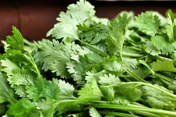 Coriander — Stock Photo, Image