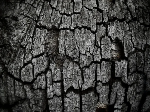 Старый деревянный комод — стоковое фото