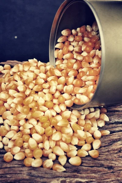 Corn grain — Stock Photo, Image