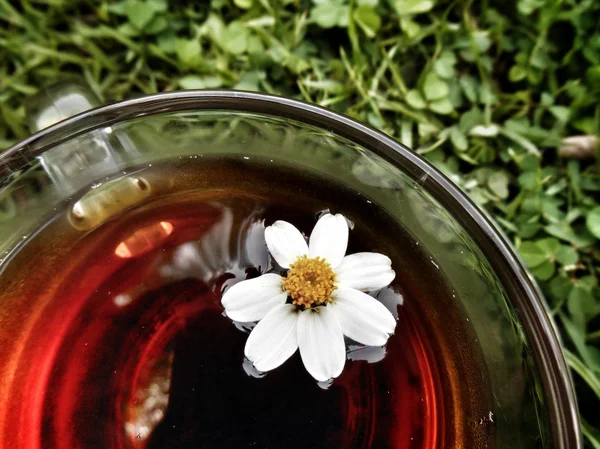 Chamomile tea — Stock Photo, Image