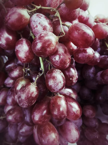 Uvas frescas — Fotografia de Stock