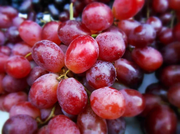 Uvas frescas — Fotografia de Stock