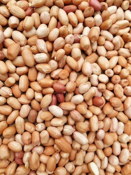 Peanut — Stock Photo, Image