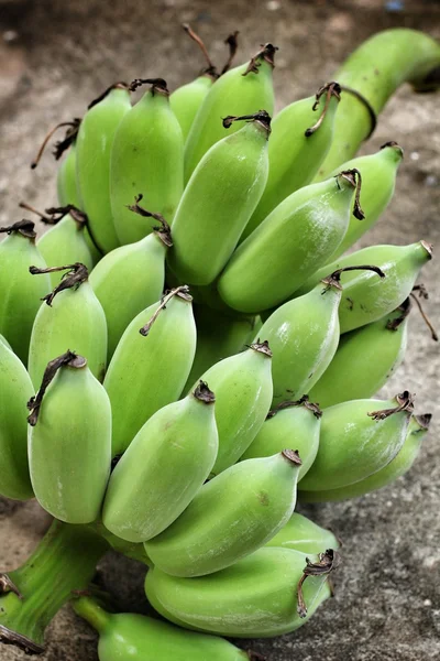 Banan frukt — Stockfoto