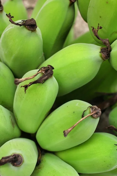 Fruits de banane — Photo