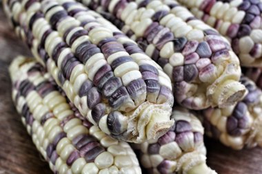 Kışın fuları olan kadın