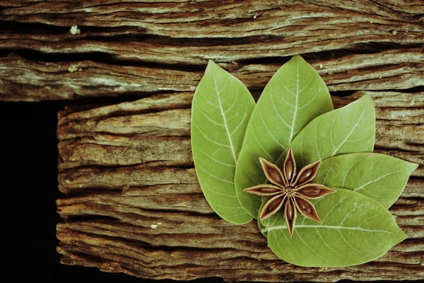 Sternanis — Stockfoto