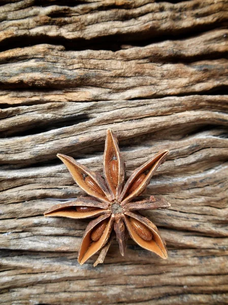 Yıldız anason — Stok fotoğraf