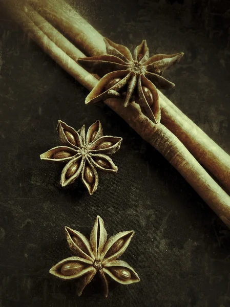 星形茴香和肉桂 — 图库照片
