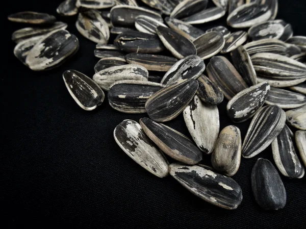 Dry sunflower seeds. — Stock Photo, Image