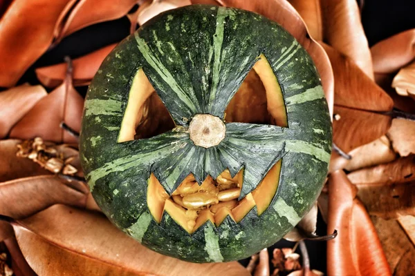 Scary Jack O Lantern halloween pumpkin — Stock Photo, Image