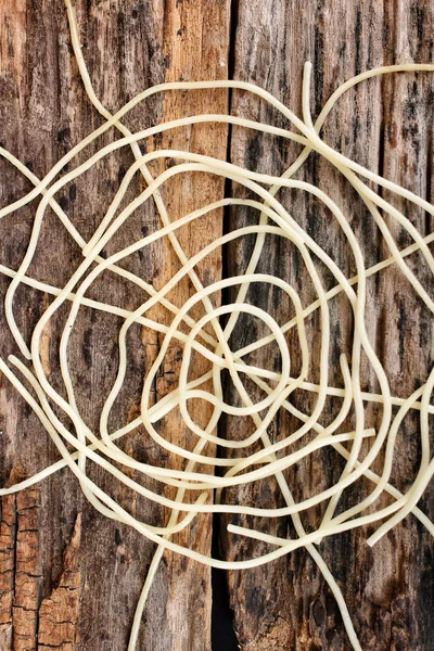 Spaghetti-Spinnennetz — Stockfoto