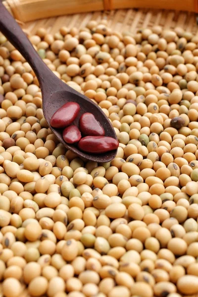 Soy beans — Stock Photo, Image