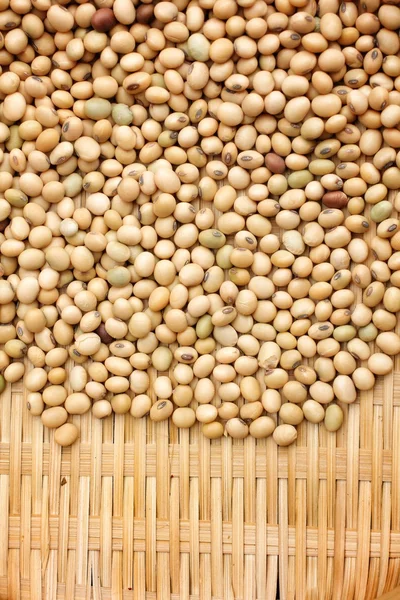 Soy beans — Stock Photo, Image