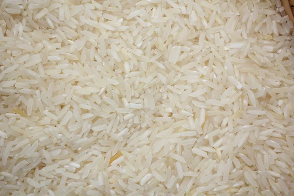 Rice grain — Stock Photo, Image