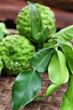 taze Güney Afrika'da bir kabile