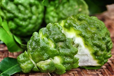 taze Güney Afrika'da bir kabile