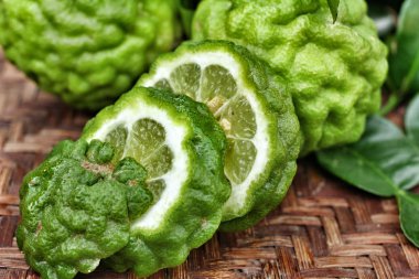 taze Güney Afrika'da bir kabile