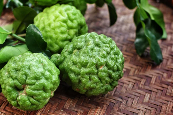 Fresh kaffir — Stock Photo, Image