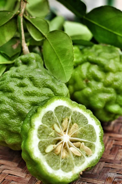 Fresh kaffir — Stock Photo, Image