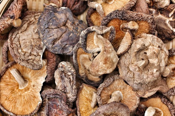 Шиитакский гриб
