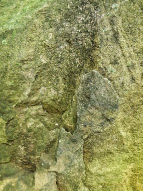 yeşil ve kahverengi arka plan