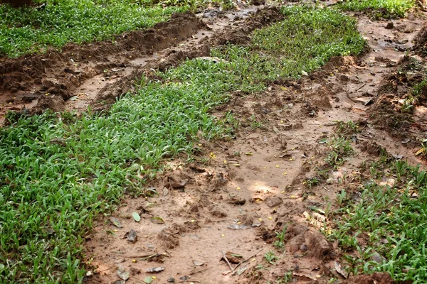 Puddles — Stock Photo, Image