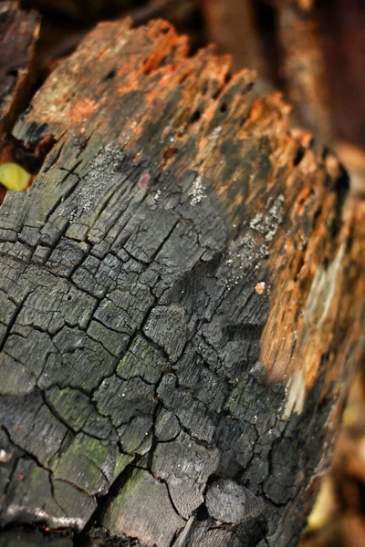 Struttura in legno nero — Foto Stock