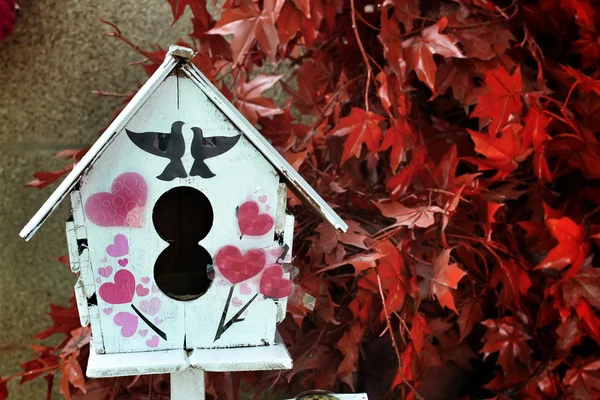 Bird house. — Stock Photo, Image