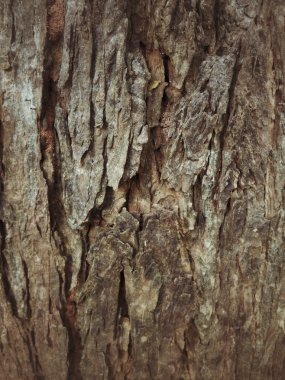 eski ahşap arka plan