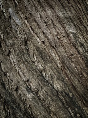 eski ahşap arka plan