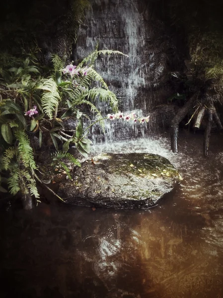 Wasserfall und Orchideenblume — Stockfoto