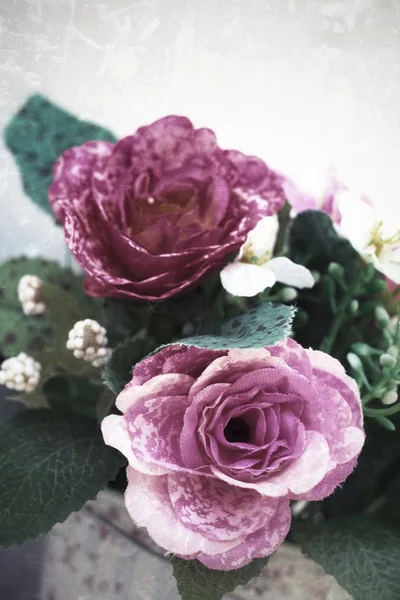 美しいバラ — ストック写真