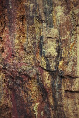 kahverengi ve gri adam