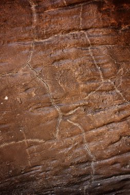 kahverengi ve gri adam