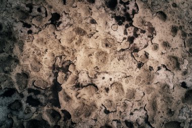 kahverengi ve gri adam