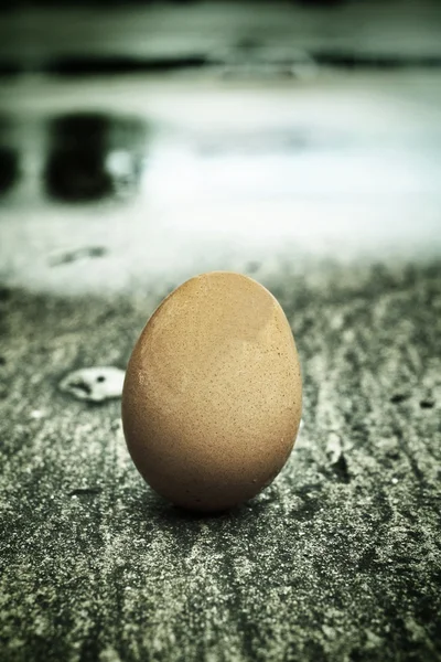 Uovo fresco primo piano — Foto Stock