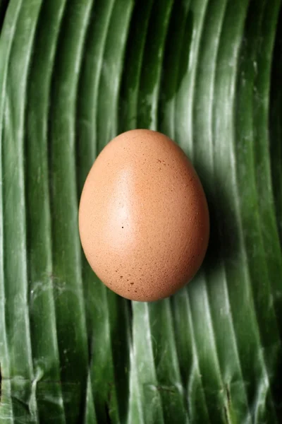 Szczegół świeżych jaj. — Zdjęcie stockowe