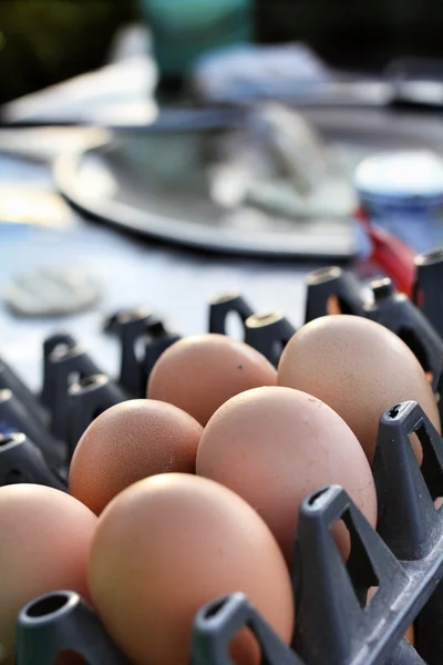 Close-up čerstvé vejce — Stock fotografie