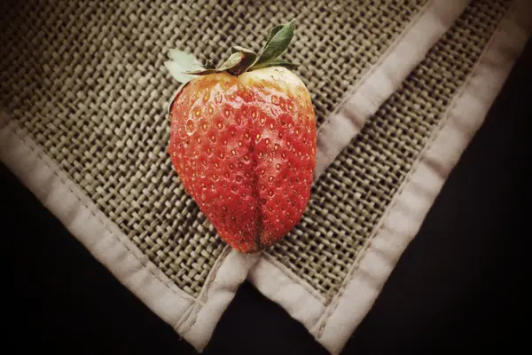 新鮮なイチゴ. — ストック写真